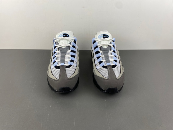 Nike Air Max 95 SP FB2709-301