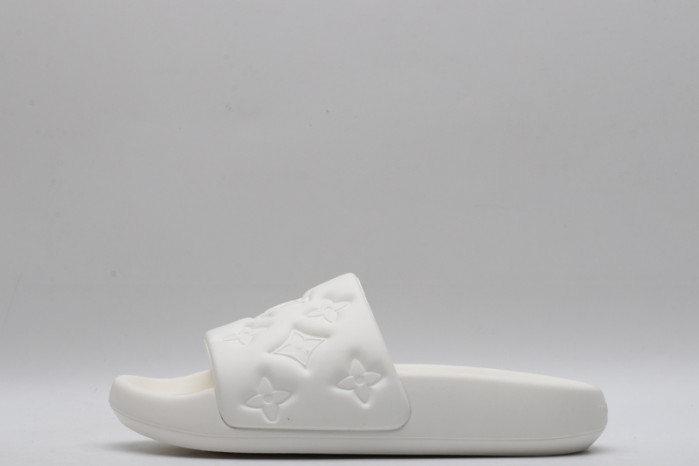 lv slides