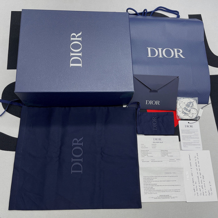 D*or b22 sneakers
